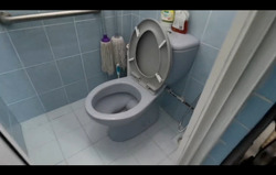 Blk 9 Holland Avenue (Queenstown), HDB 3 Rooms #446137881
